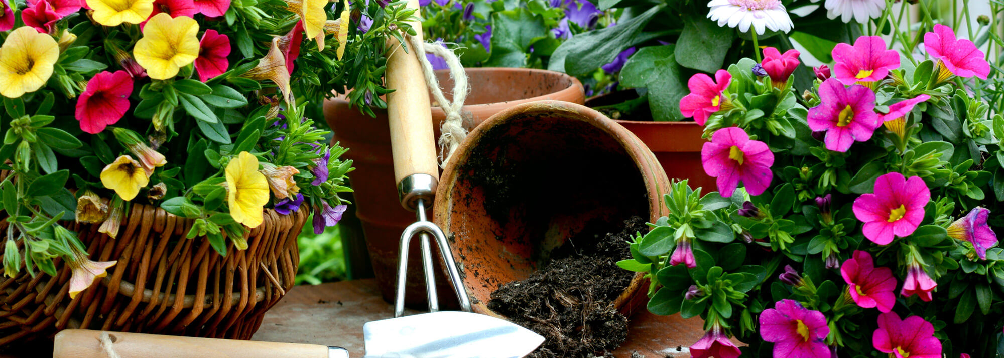 Blumenerde Substrathersteller, Blumen mit Blumentopf und Gartenschauefelchen